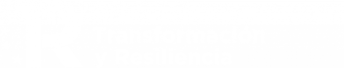 Plan de Recuperación, Transformación y Resilencia